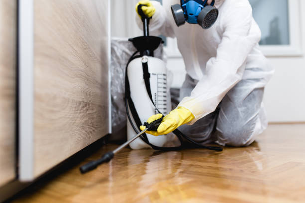Best Wildlife Control Services  in South Coventry, CT