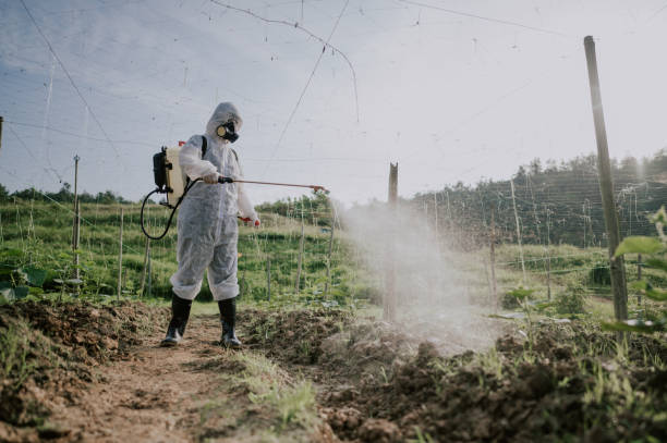 Best Pest Removal Services  in South Coventry, CT
