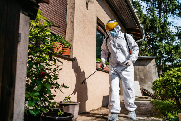 Best Termite Control Services  in South Coventry, CT