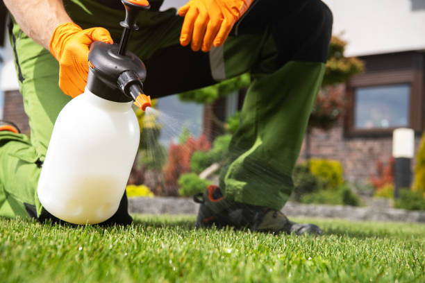 Wildlife Control Services in South Coventry, CT