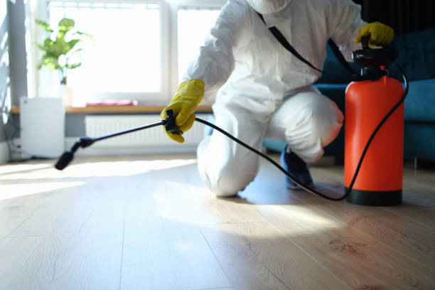 Best Wildlife Control Services  in South Coventry, CT