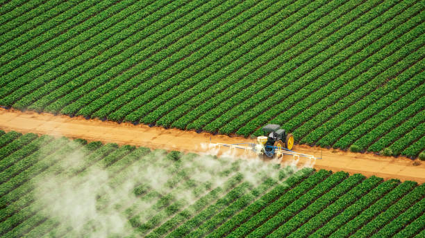 Best Mosquito Control Services  in South Coventry, CT