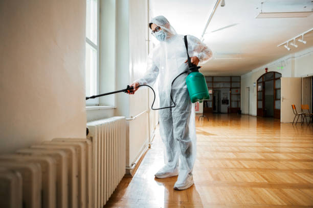 Pest Prevention Services in South Coventry, CT