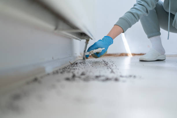 Reliable South Coventry, CT Pest Control Solutions